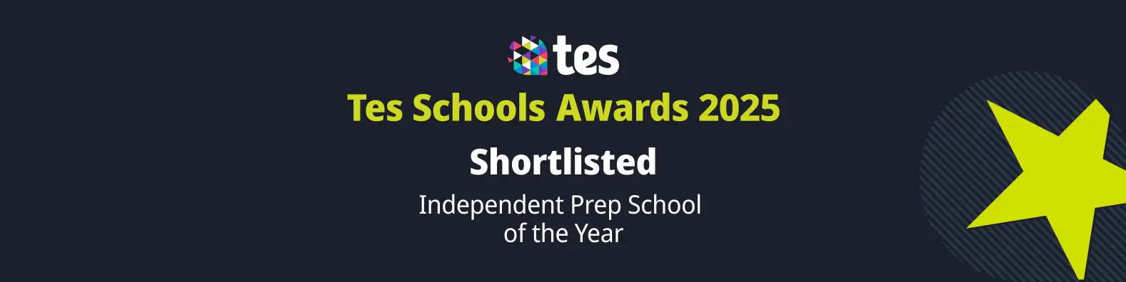 TES awards 2025