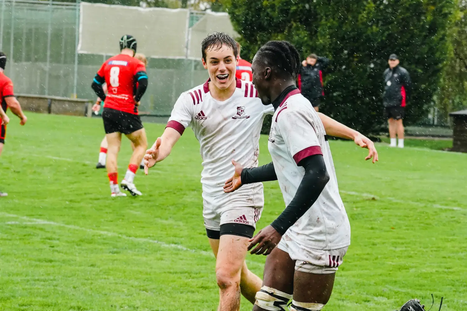 OptimizedImage,Optimized